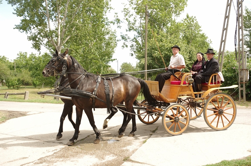 LEVI2493 (Medium).JPG